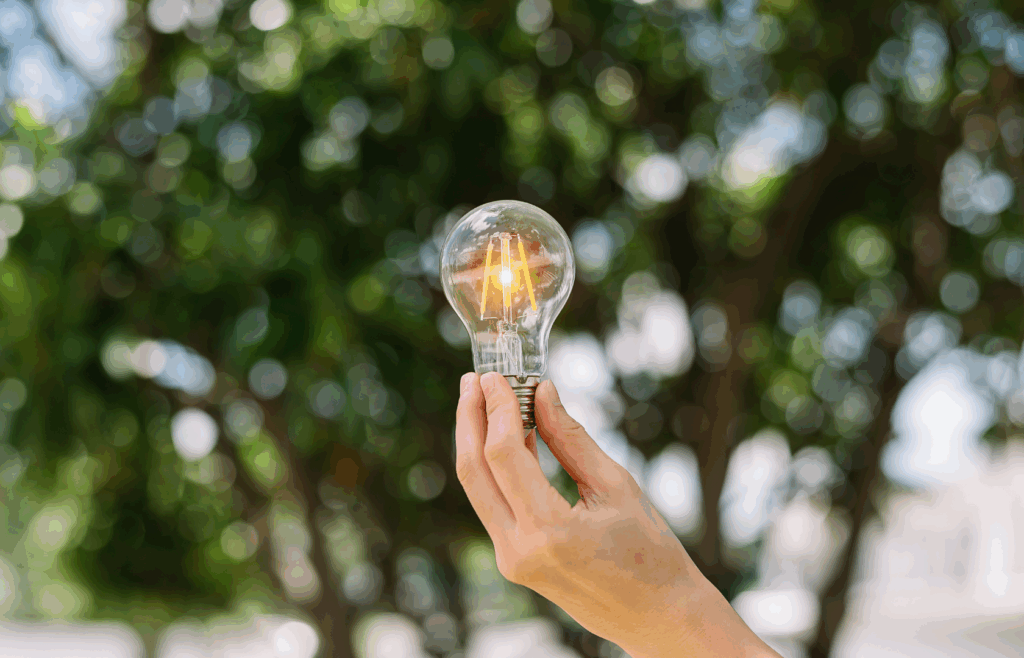 A hand holding a light bulb